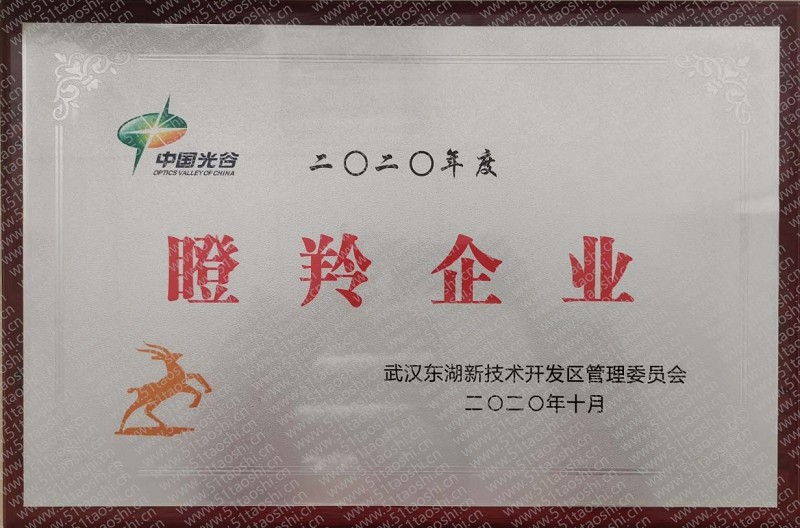 瞪羚企业